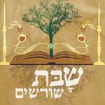 Open Zoomed Related Entry פלייר