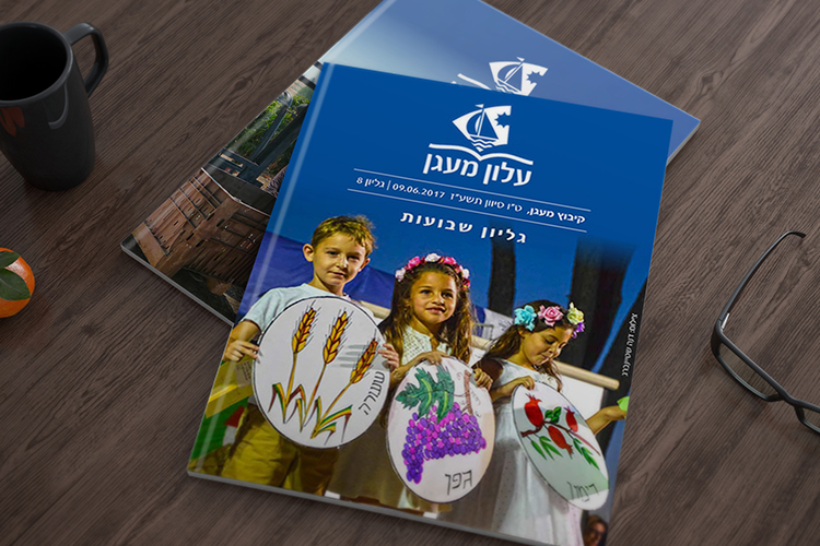 Entry 136113 in עבודות דפוס by zivit-design