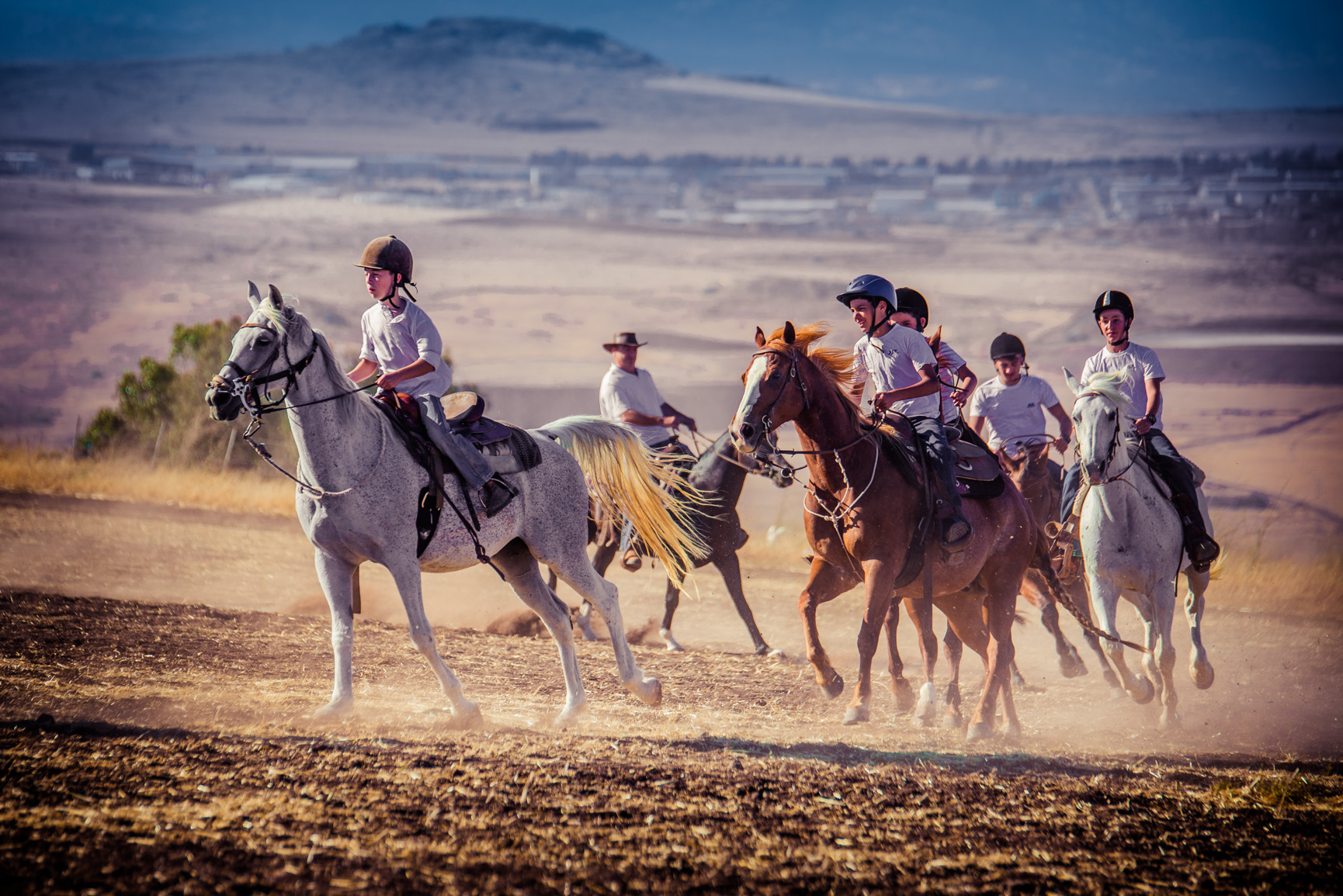 Entry 121113 in Animals by Ron Stollman Photography