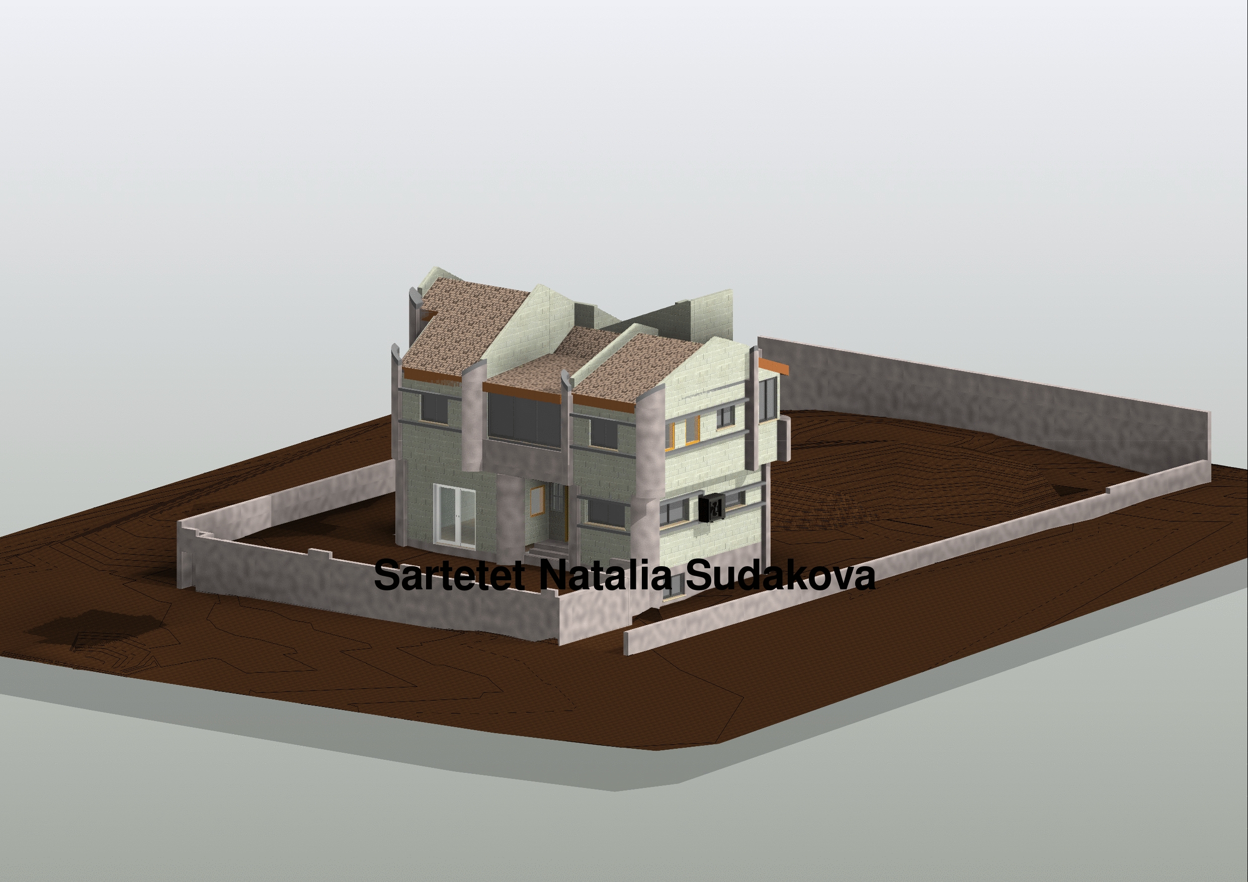 Entry 92321 in הגשות להיתר. Revit by Ricci Concept