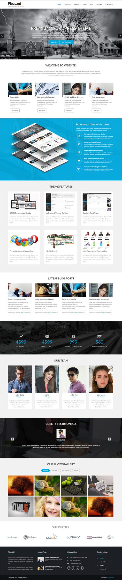 Entry 182731 in Premium WordPress Theme by Grace Themes