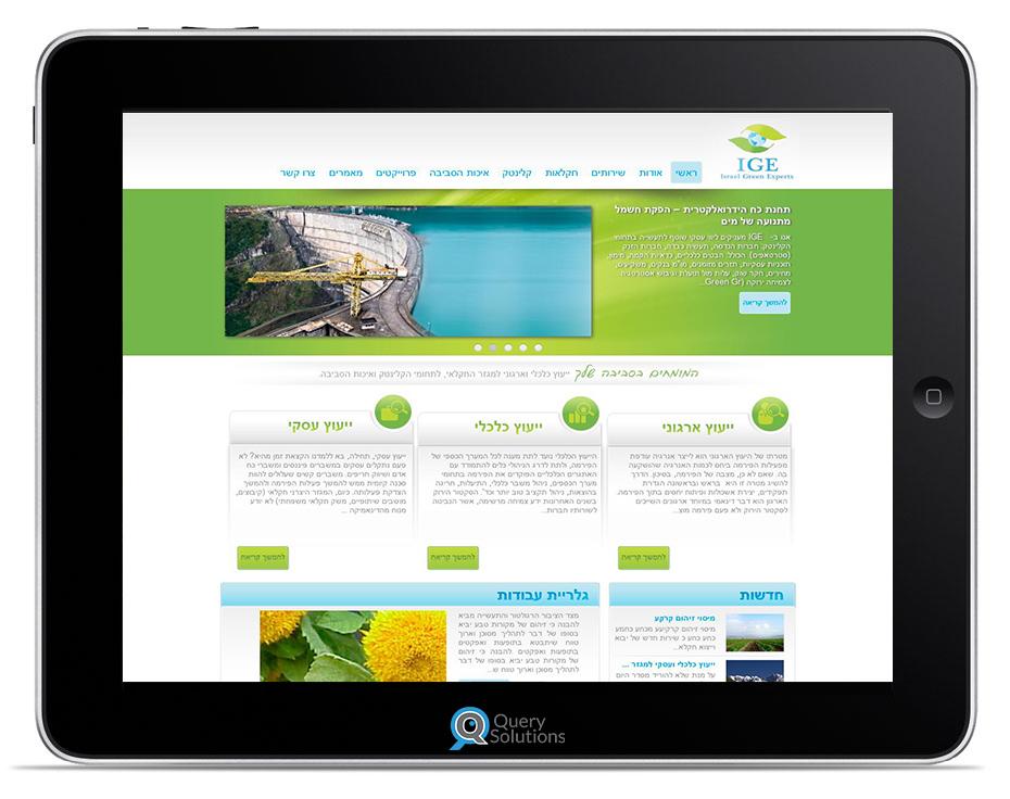 Entry 59156 in Portfolio by Query Solutions ltd