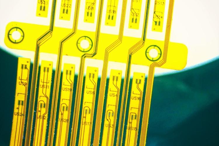 Open Entry 245582 in Portfolio by Fortail Life Sciences - פורטייל