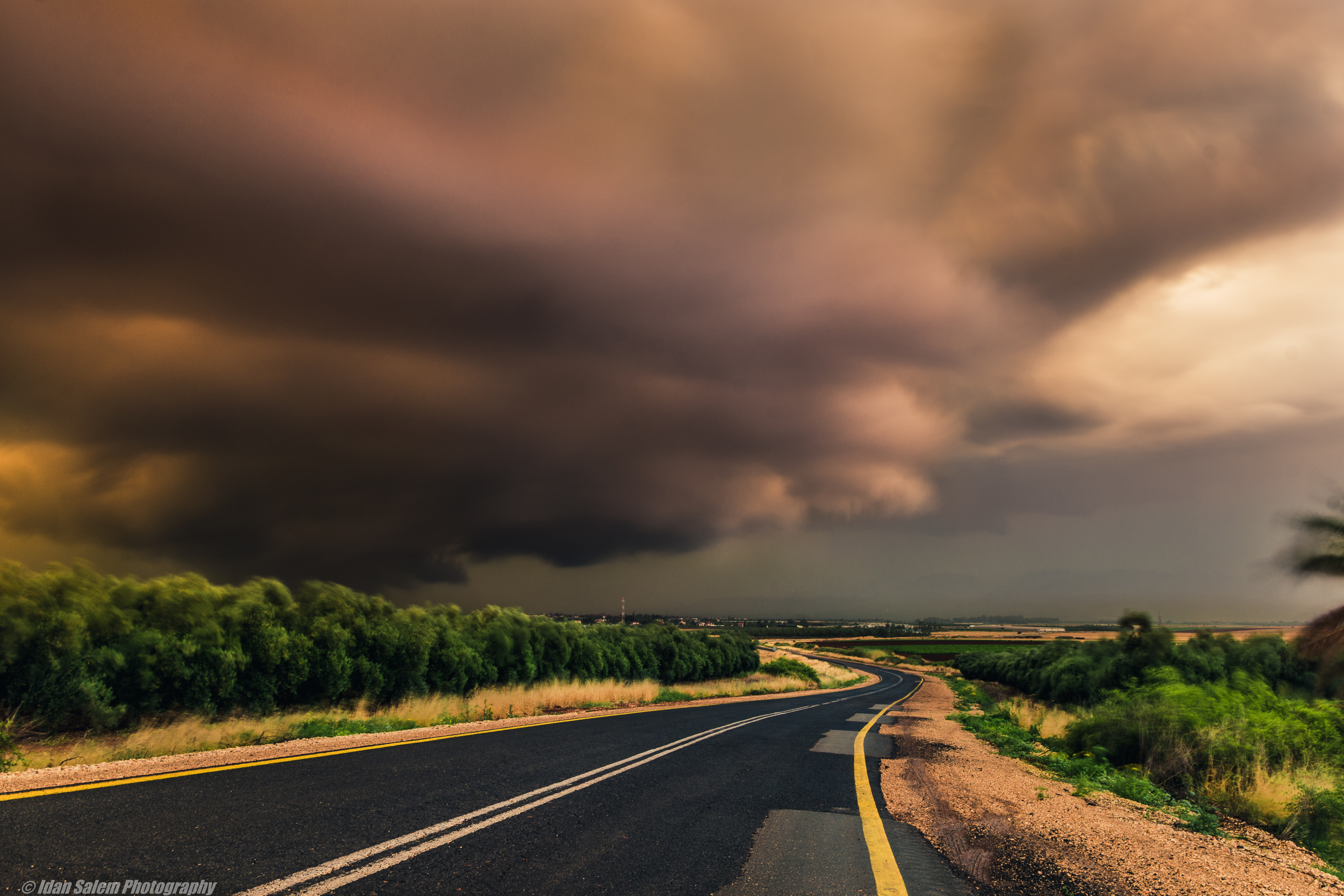 Entry 177274 in Portfolio by Idan Salem Photography