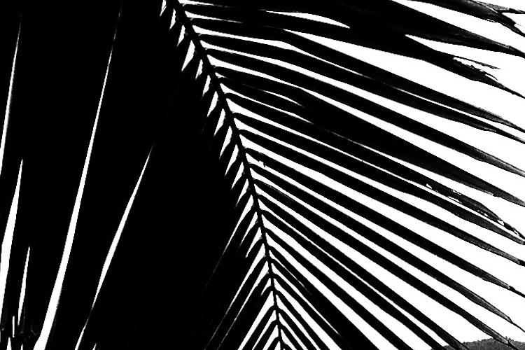 Open Zoomed Related Entry b.jpg