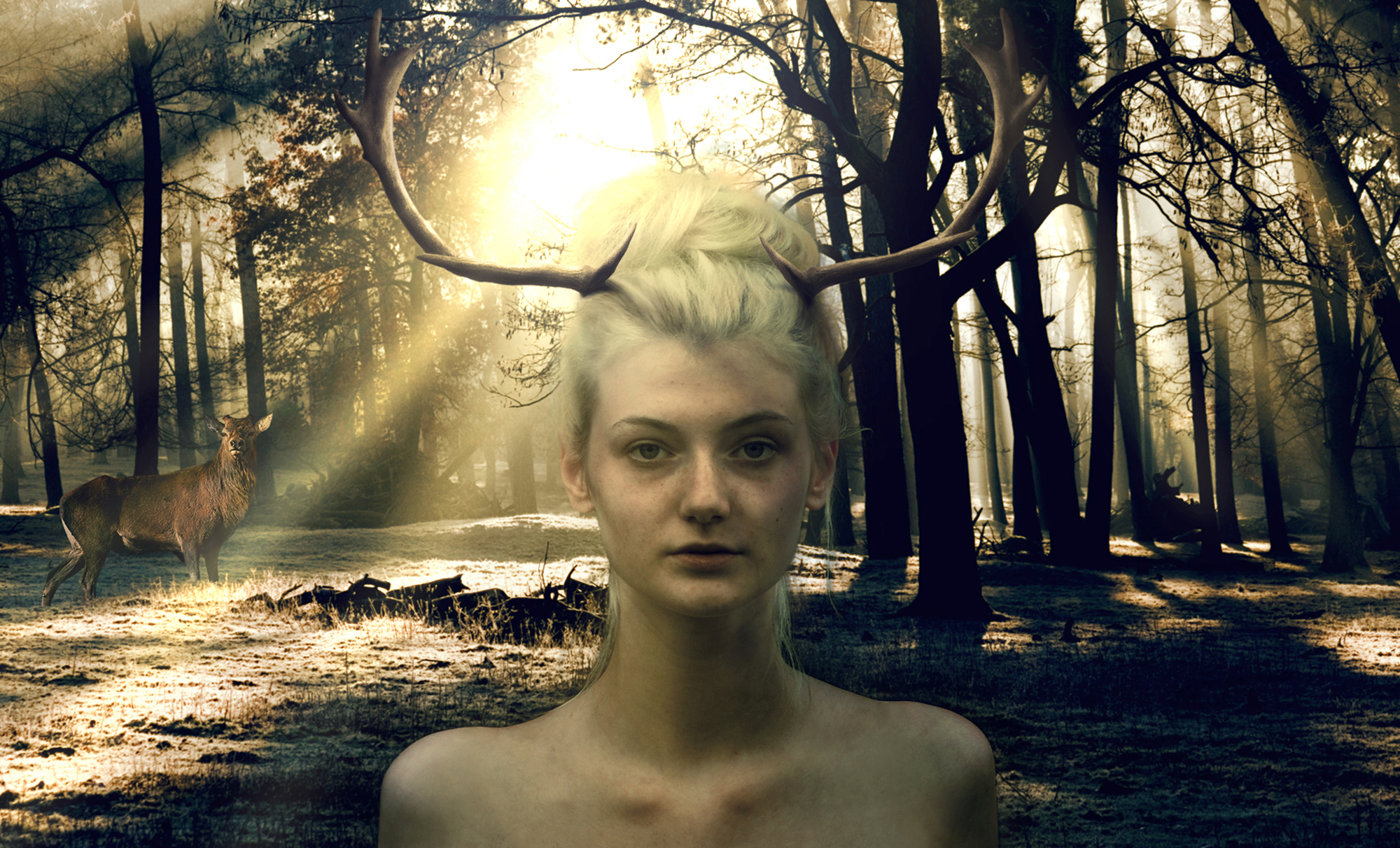 Entry 114792 in Photoshop Editing by HD Art