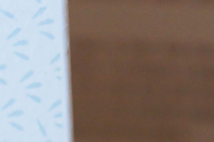 Open Zoomed Related Entry 3.jpg