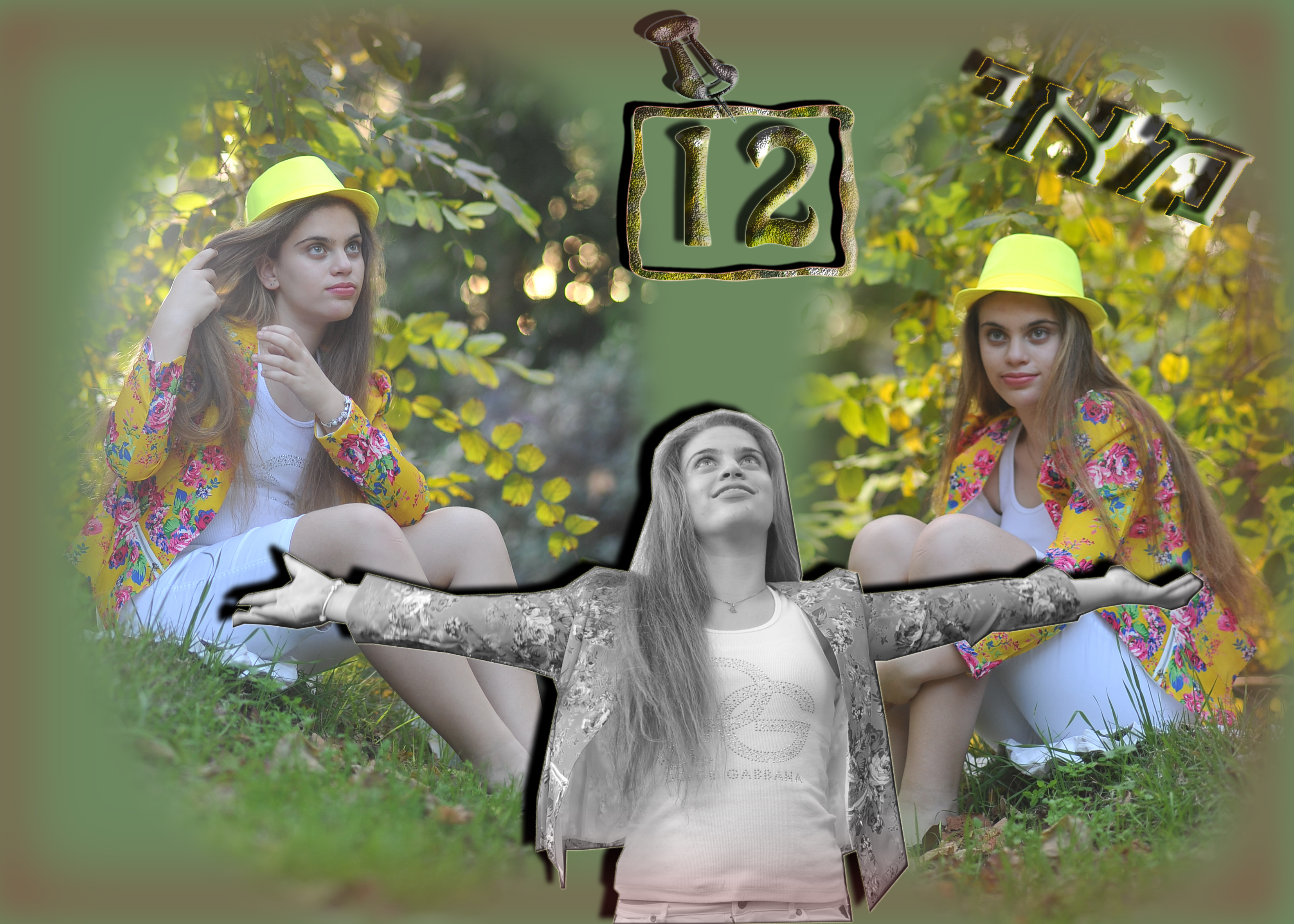 Entry 107927 in Portfolio by עיצובים