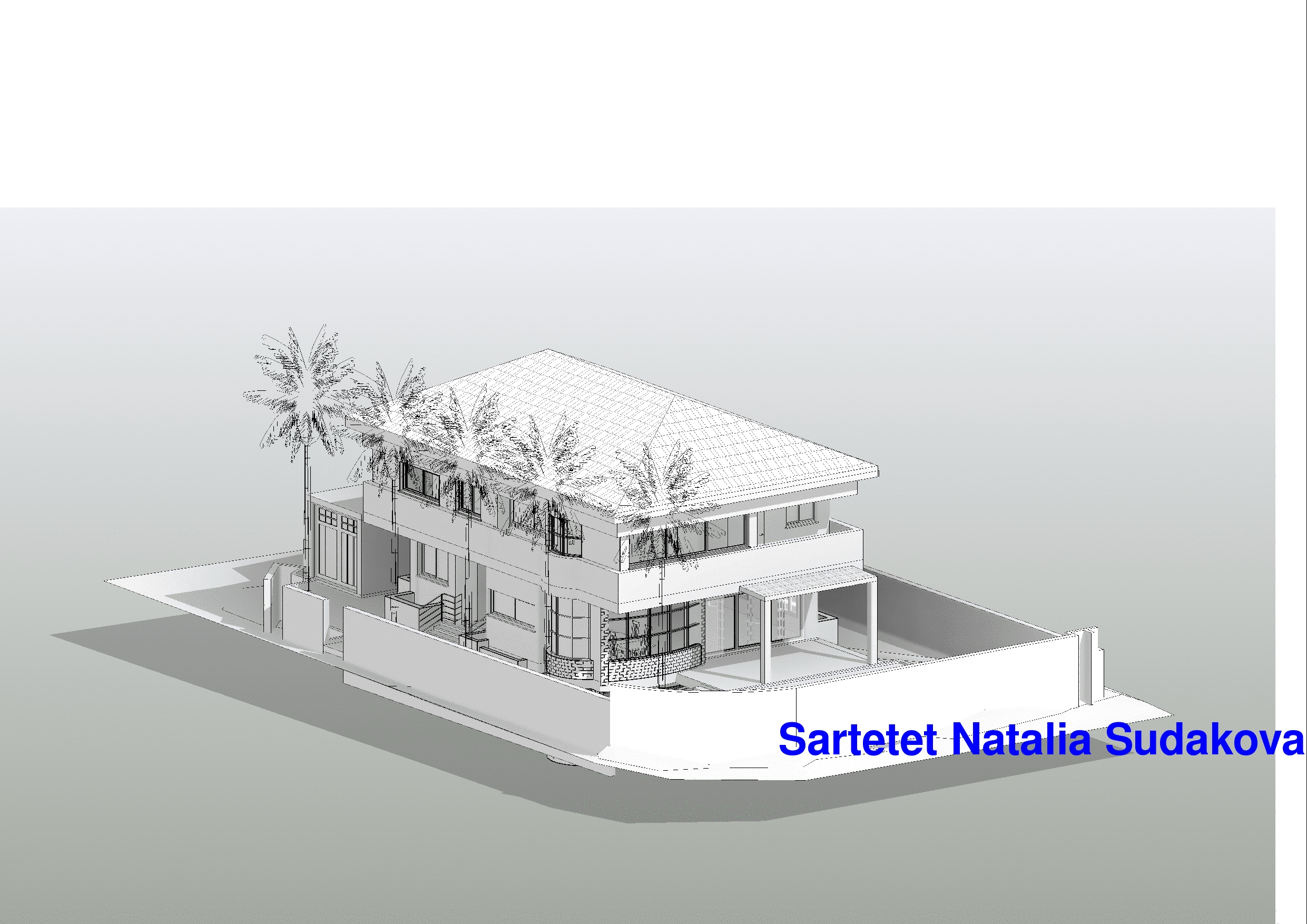 Entry 92312 in הגשות להיתר. Revit by Ricci Concept