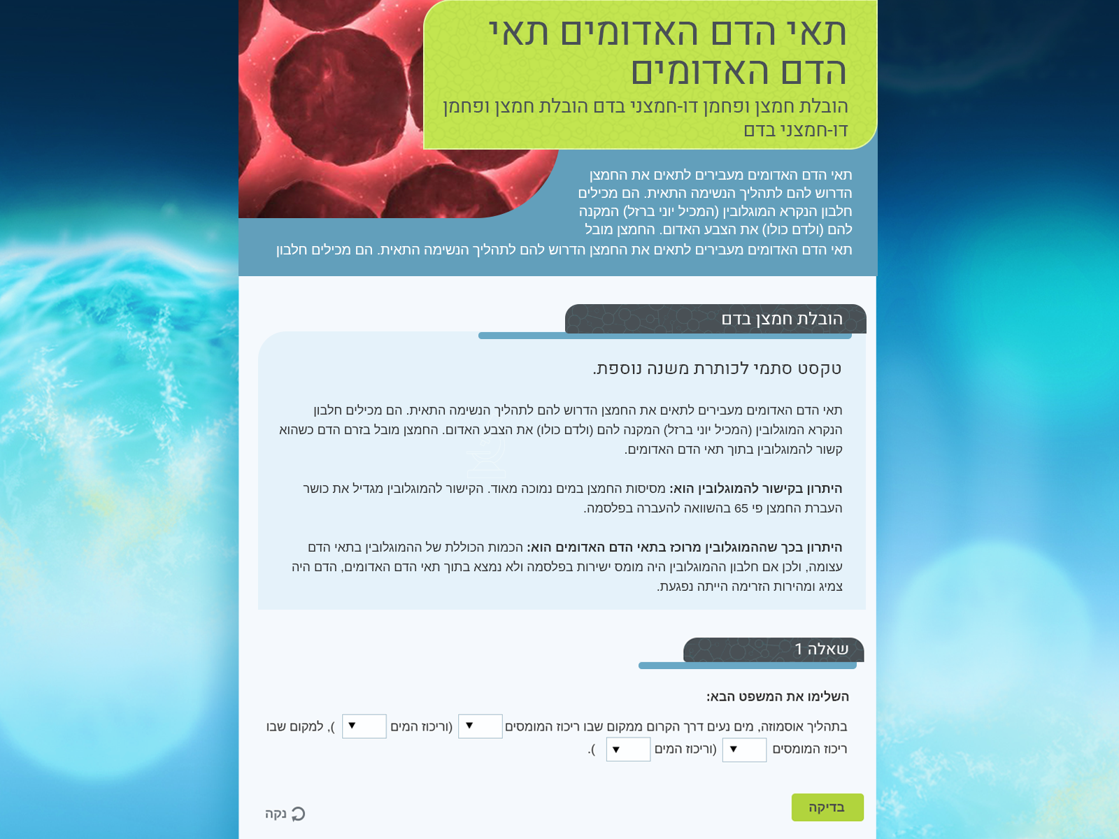 Entry 260284 in Portfolio by דפנה אלון - עיצוב חווית משתמש