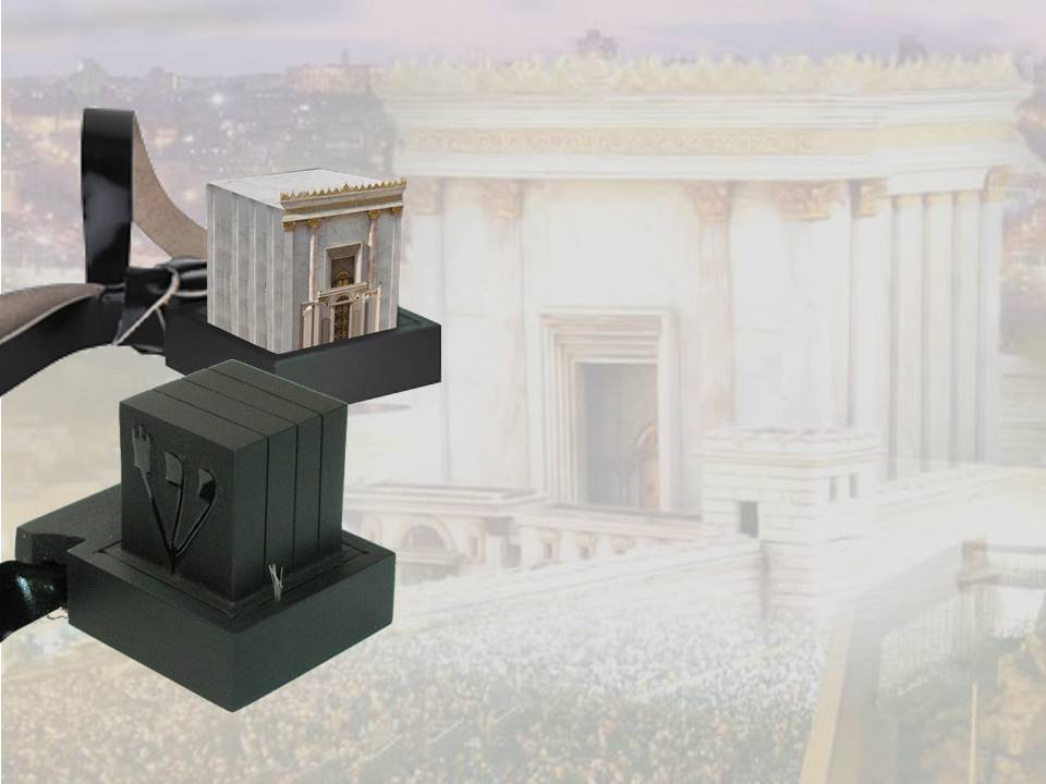 Entry 158600 in Portfolio by חוה אלבוים