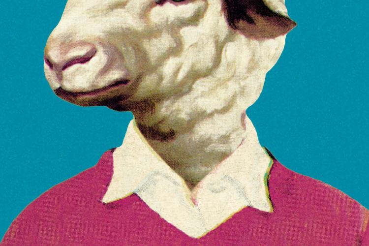 Open Zoomed Related Entry AllCloud_sheep.png