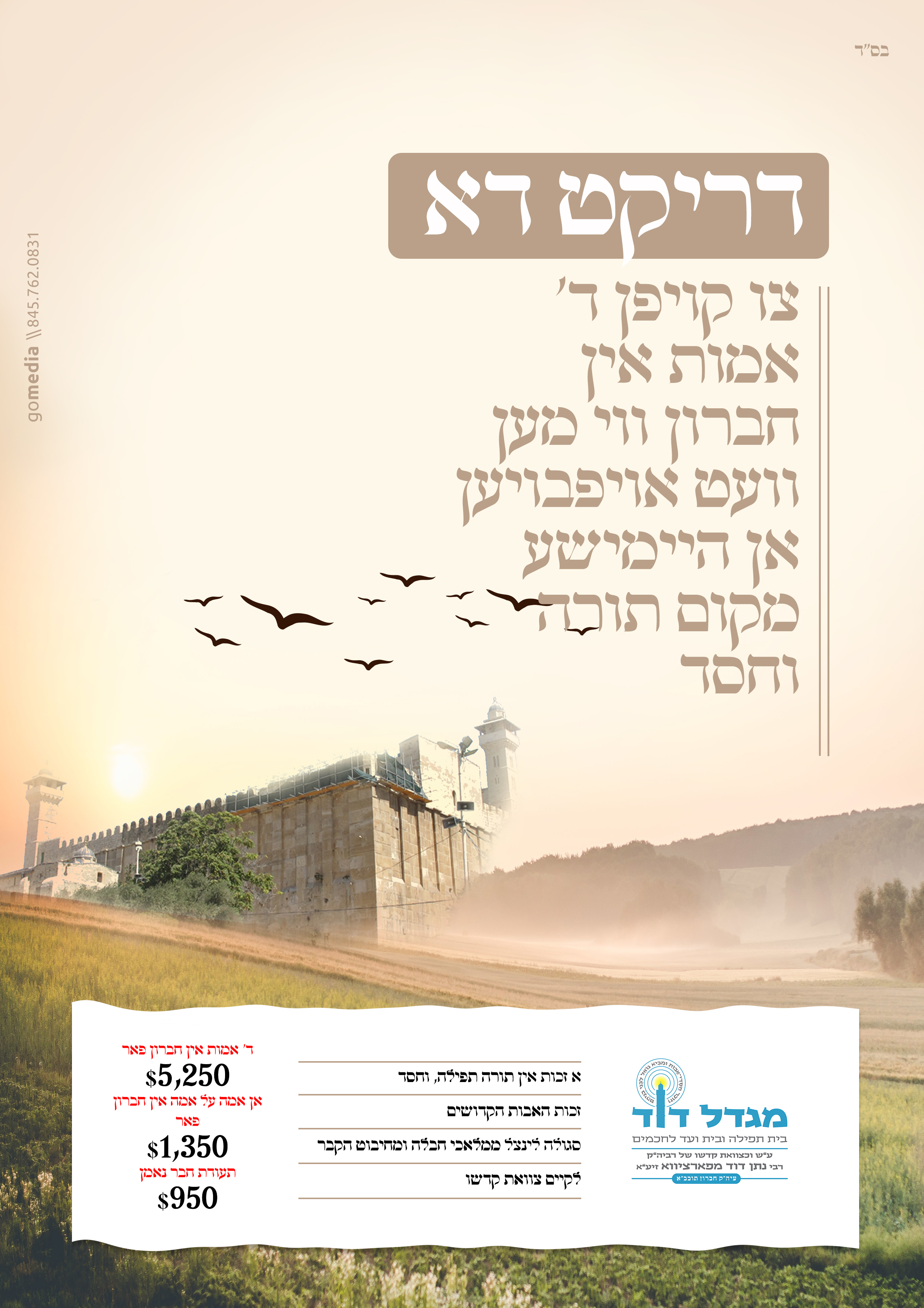 Entry 313193 in Portfolio by יצירה
