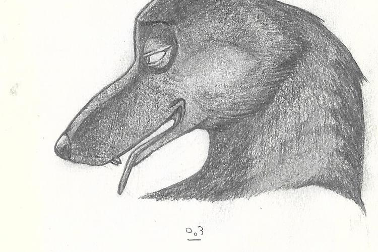 XPlace פרילנסרים | עבודה מהבית לפרילנסר ועבודות פרילנס לפרילנסרים