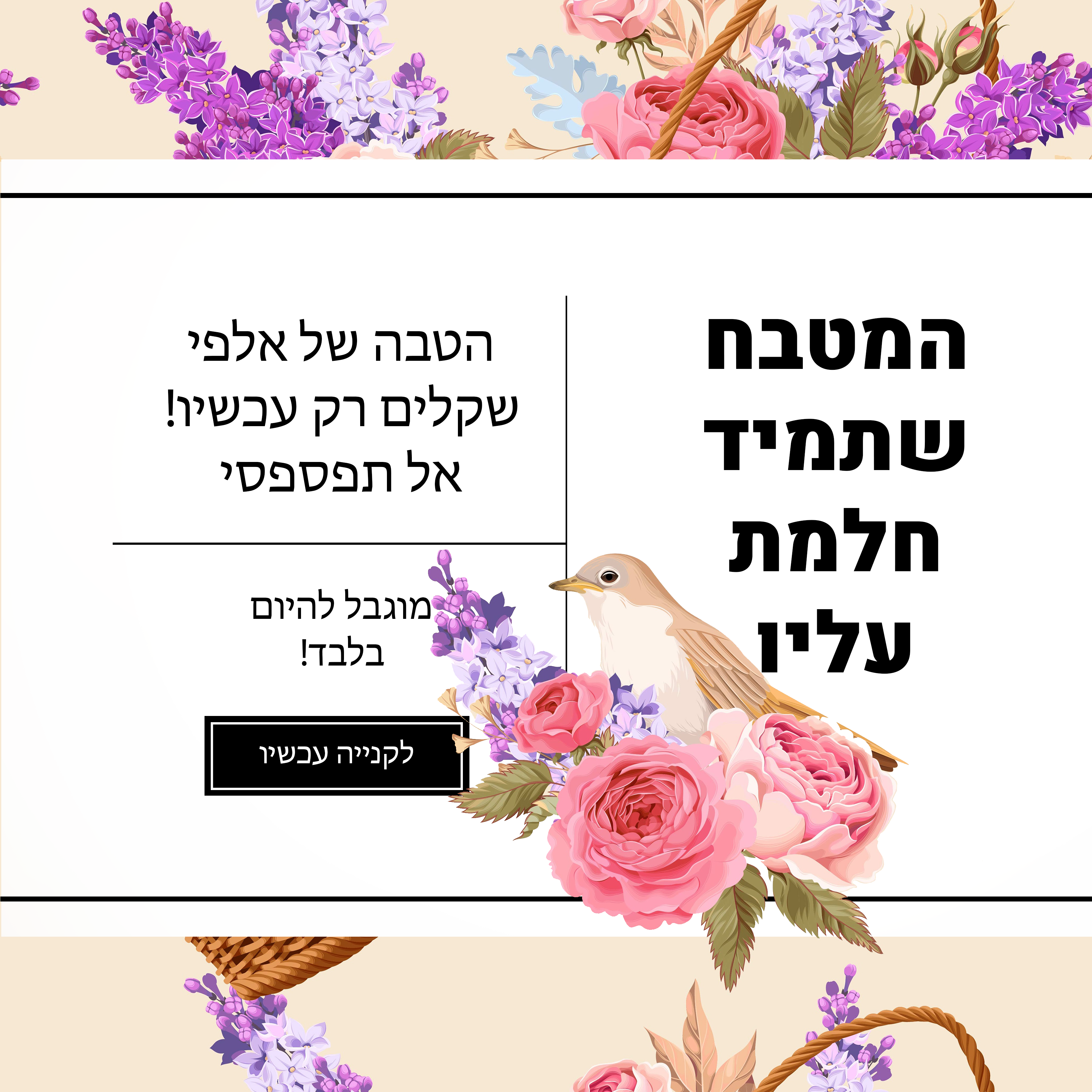Entry 278219 in Portfolio by Point סטודיו לעיצוב גרפי