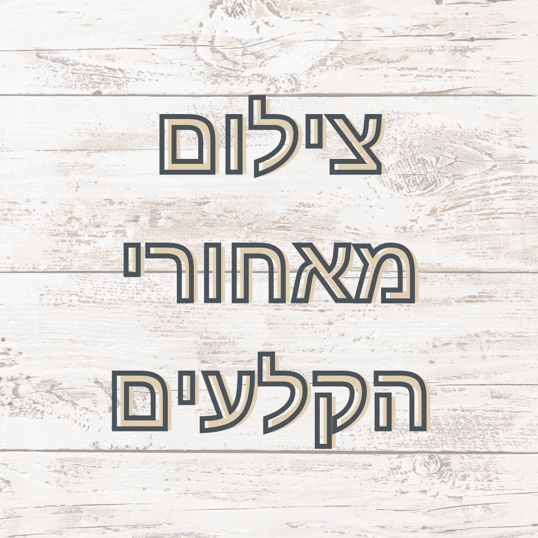 Entry 334536 in Portfolio by פוטו-שון