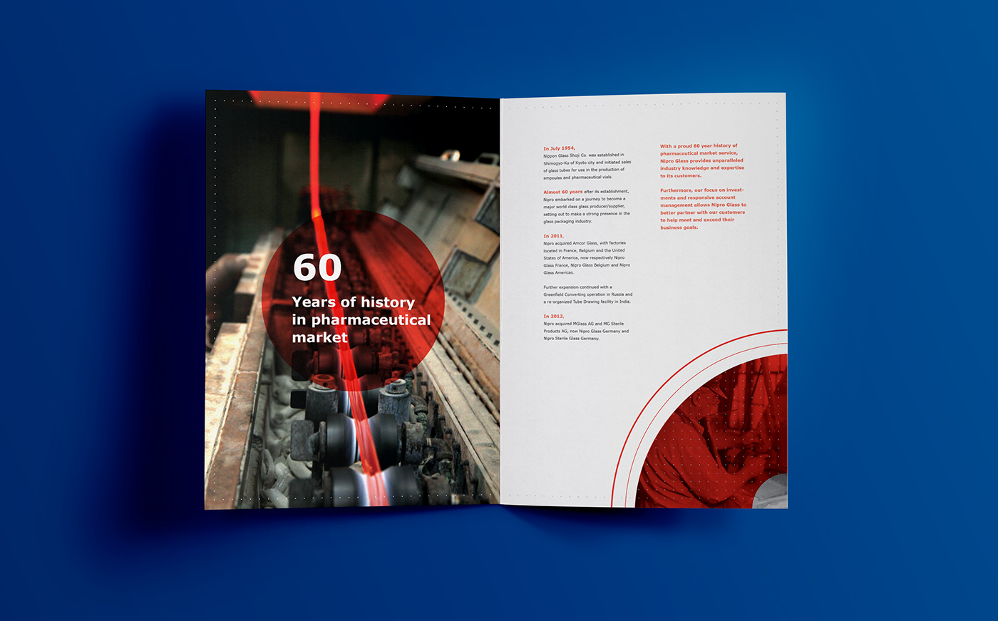 Entry 209187 in Nipro Glass Brochure by jetblack.studio