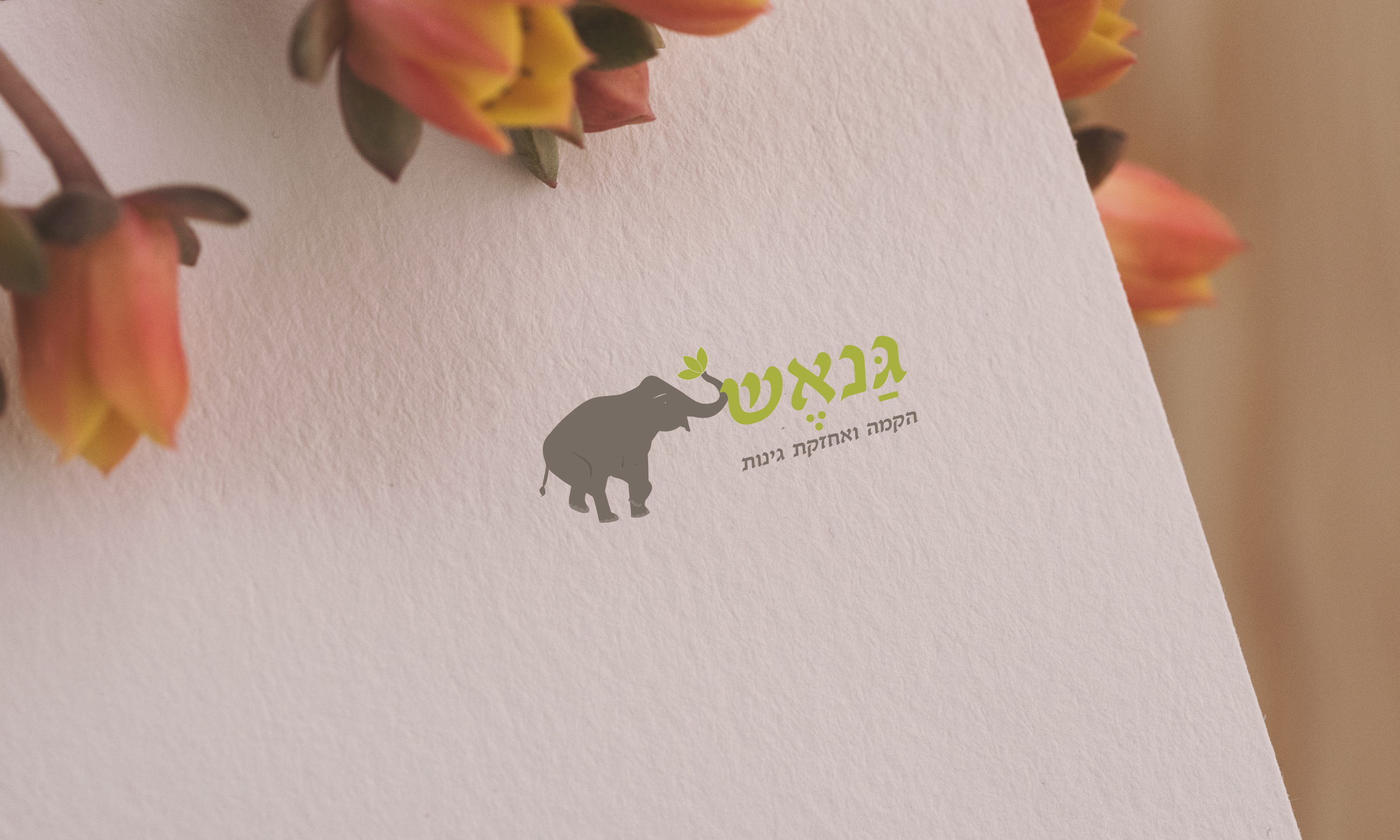 Entry 134209 in Portfolio by LALIV