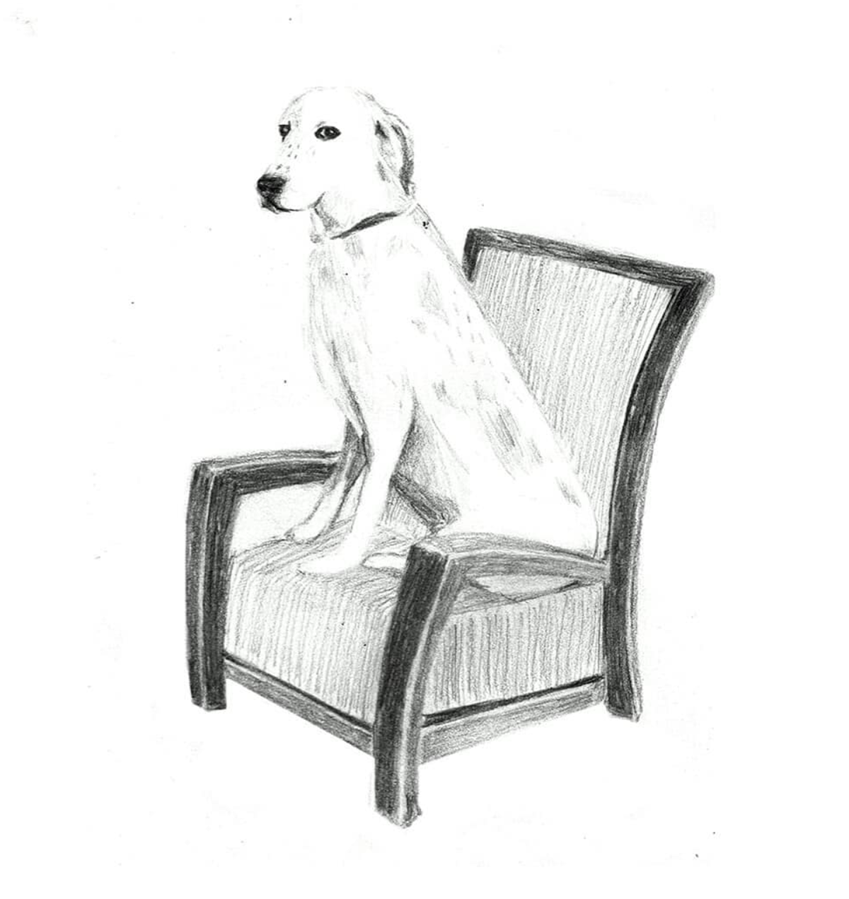 Entry 191217 in Hand chair&People by נטע לוי