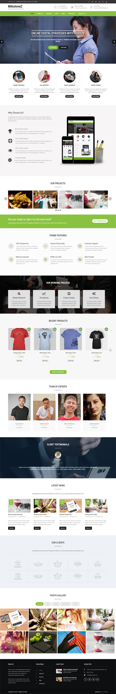 Entry 182724 in MilestoneZ Pro by Grace Themes