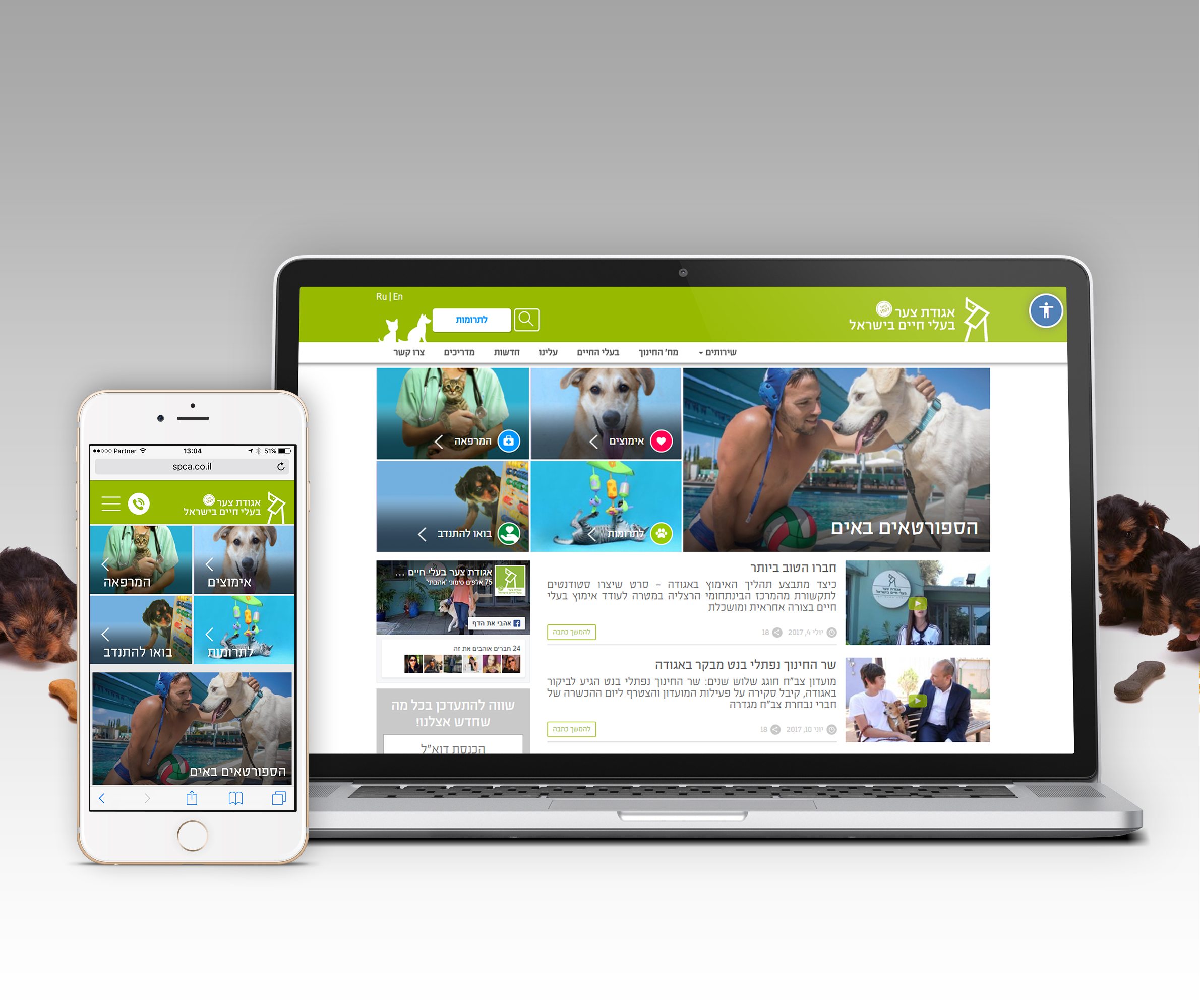 Entry 217529 in Portfolio by Digital Express Marketing