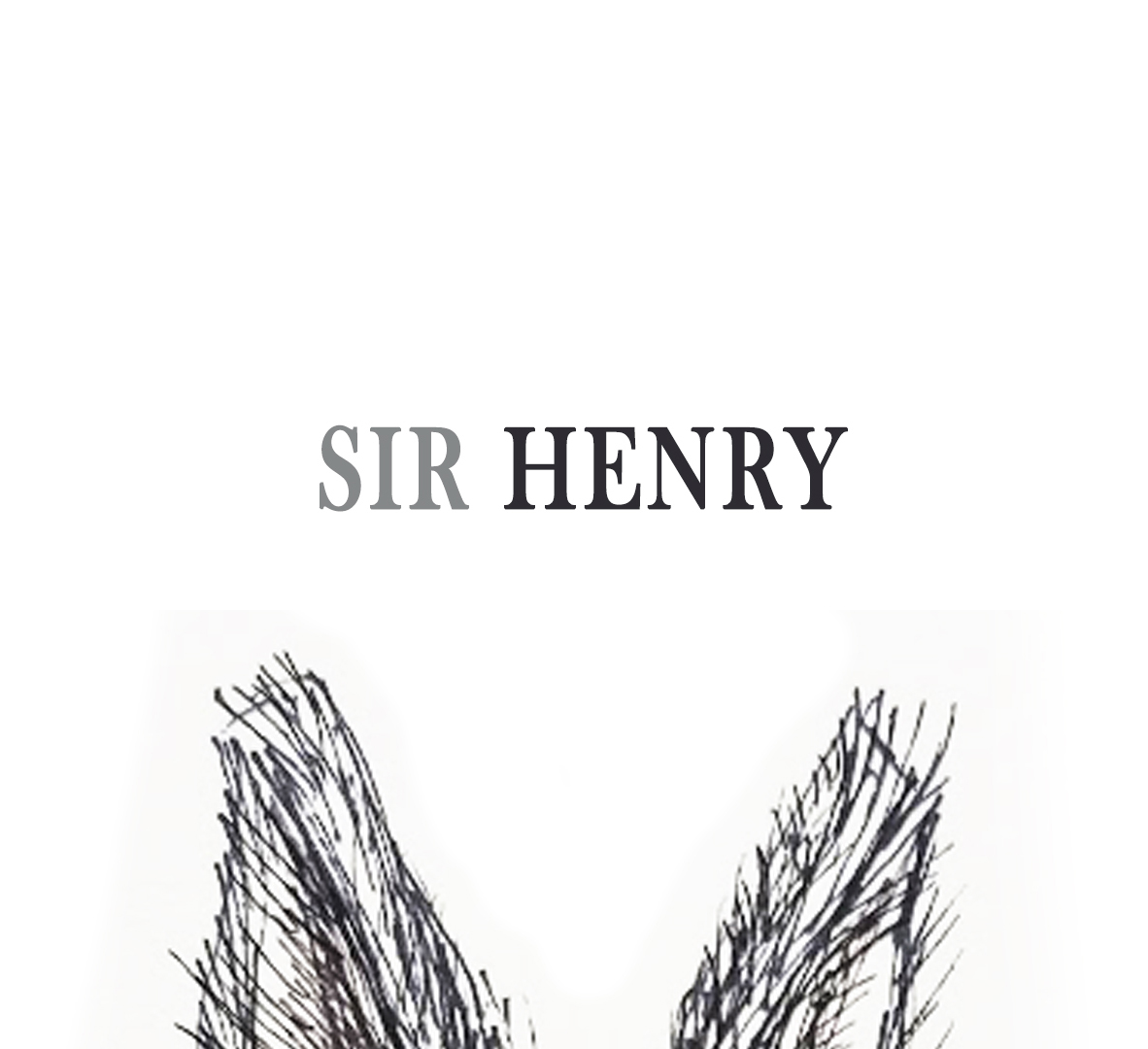 Entry 236603 in איורים למותג SIR HENRY ופריטים מקולקציית קיץ by מעיין ברקוביץ