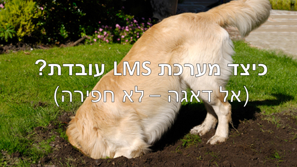 Entry 238121 in מצגת הדרכה: הטמעה של מערכת למידה בנייד by סמארט-אפ: פיתוח תוכן לימוד מקוון