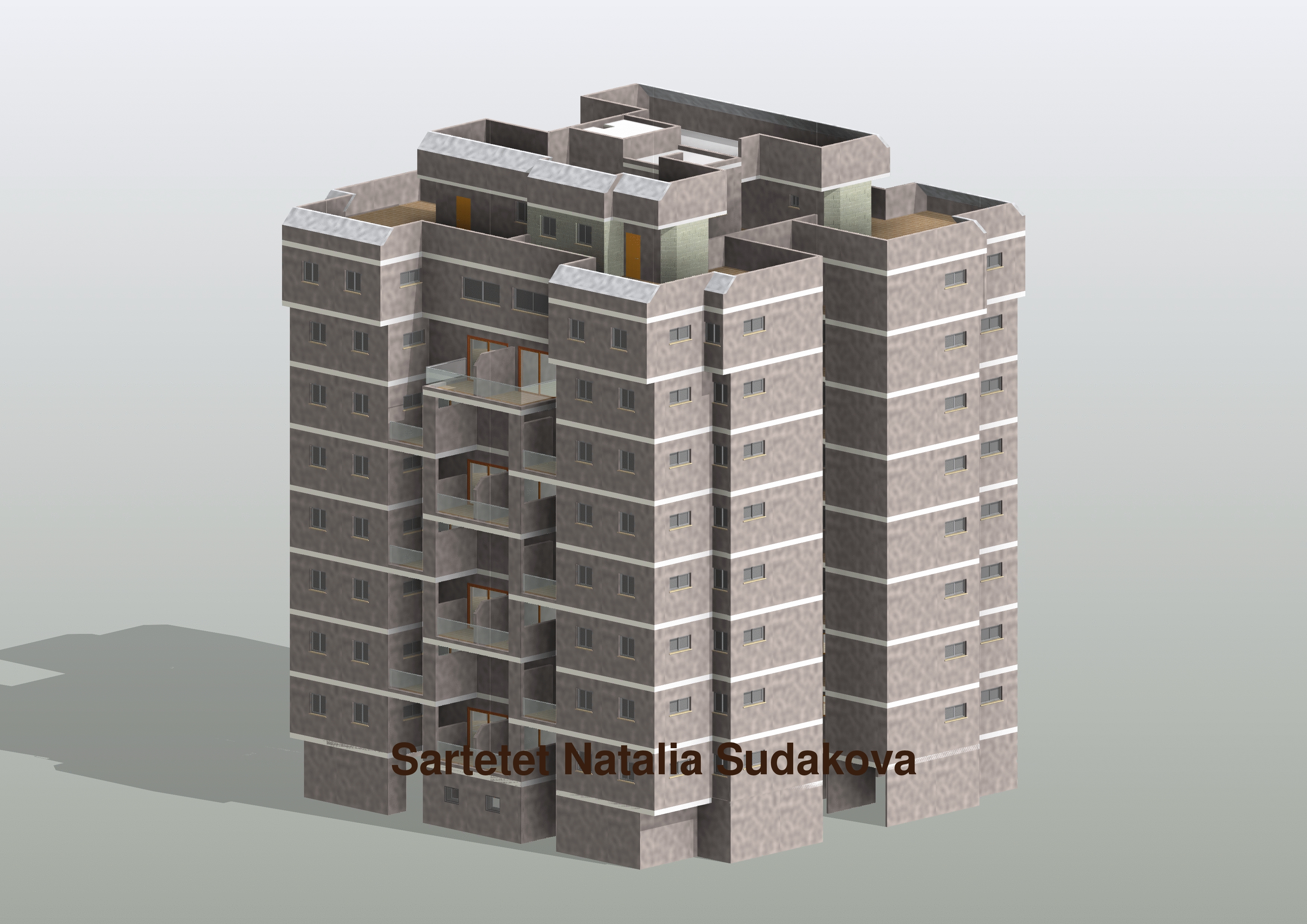 Entry 92401 in הגשות להיתר. Revit by Ricci Concept