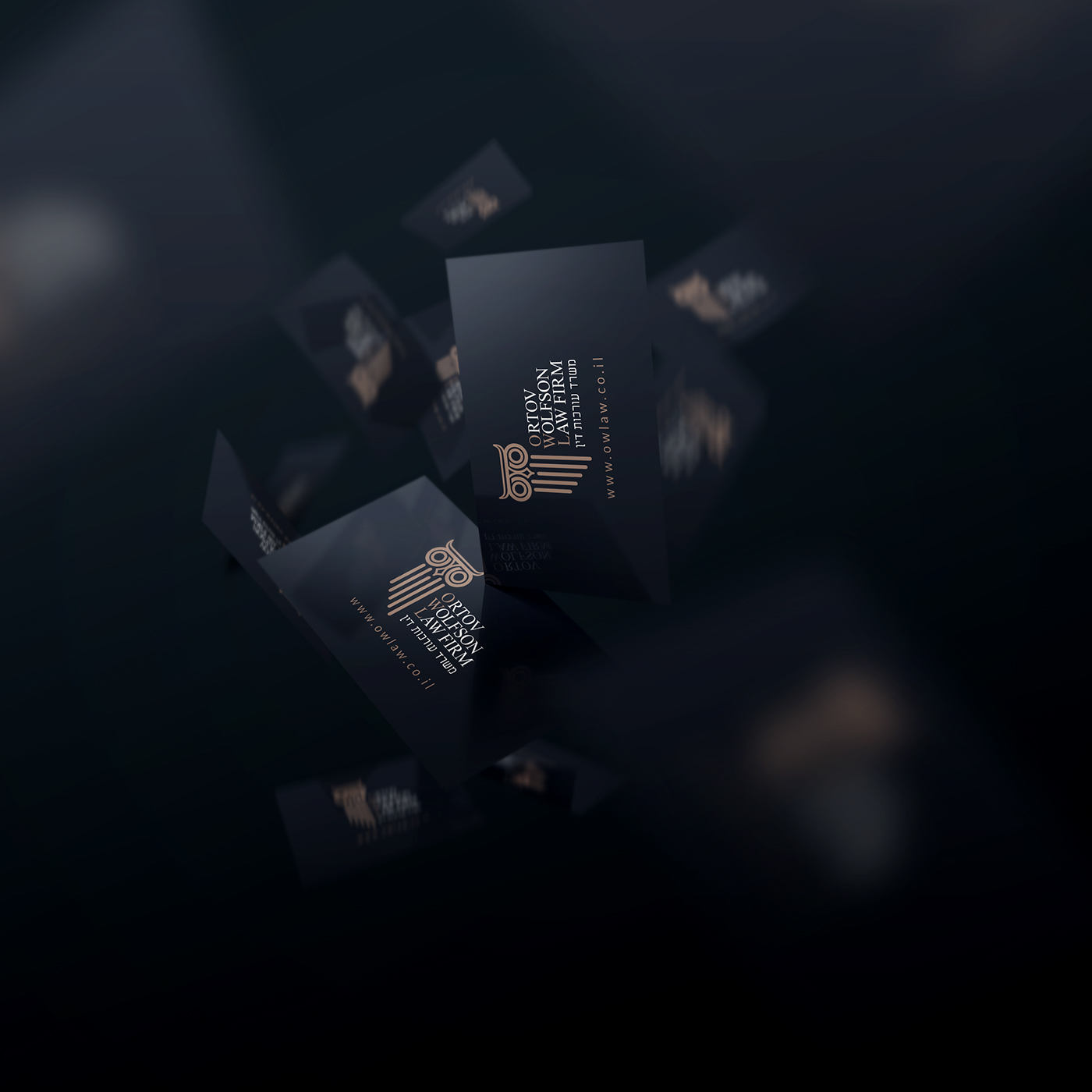 Entry 135908 in LAW FIRM Branding by nitzan slutzki graphic designer