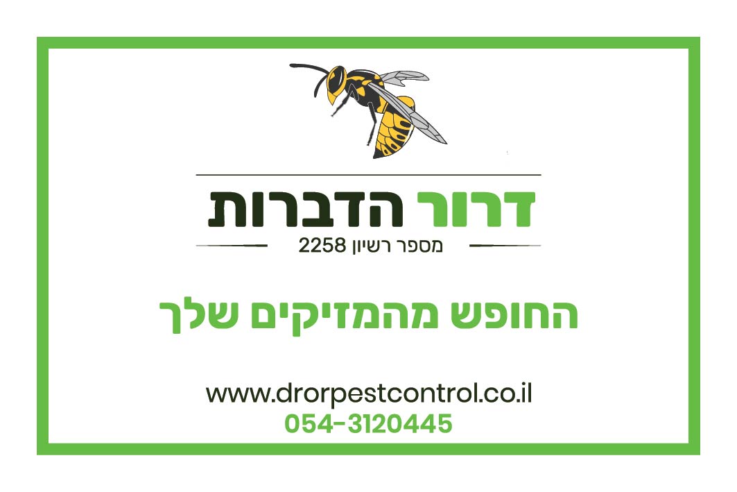 Entry 196776 in Portfolio by SoftWeb