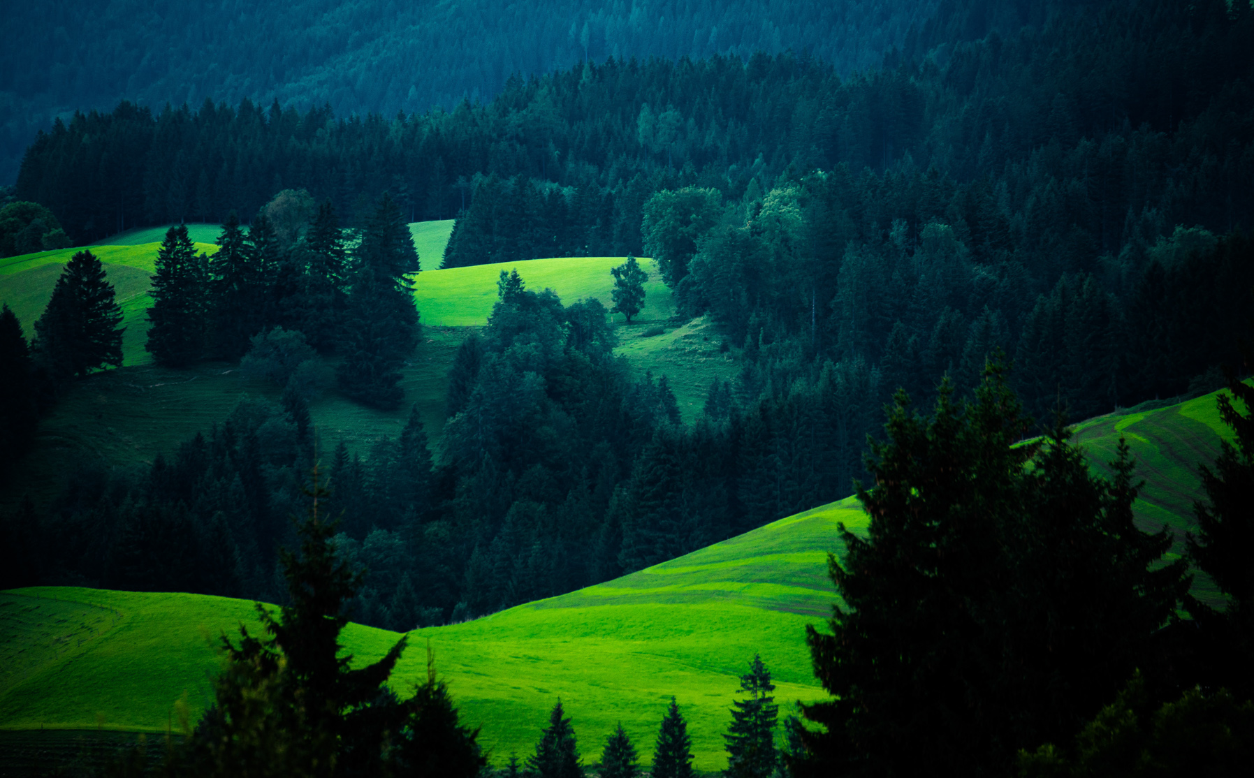 Entry 121422 in Landscapes by Ron Stollman Photography