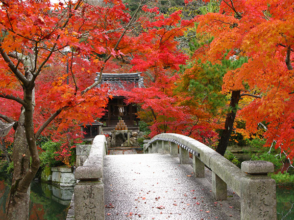 Entry 111283 in Japan Autumn leaves by Sweet-Art