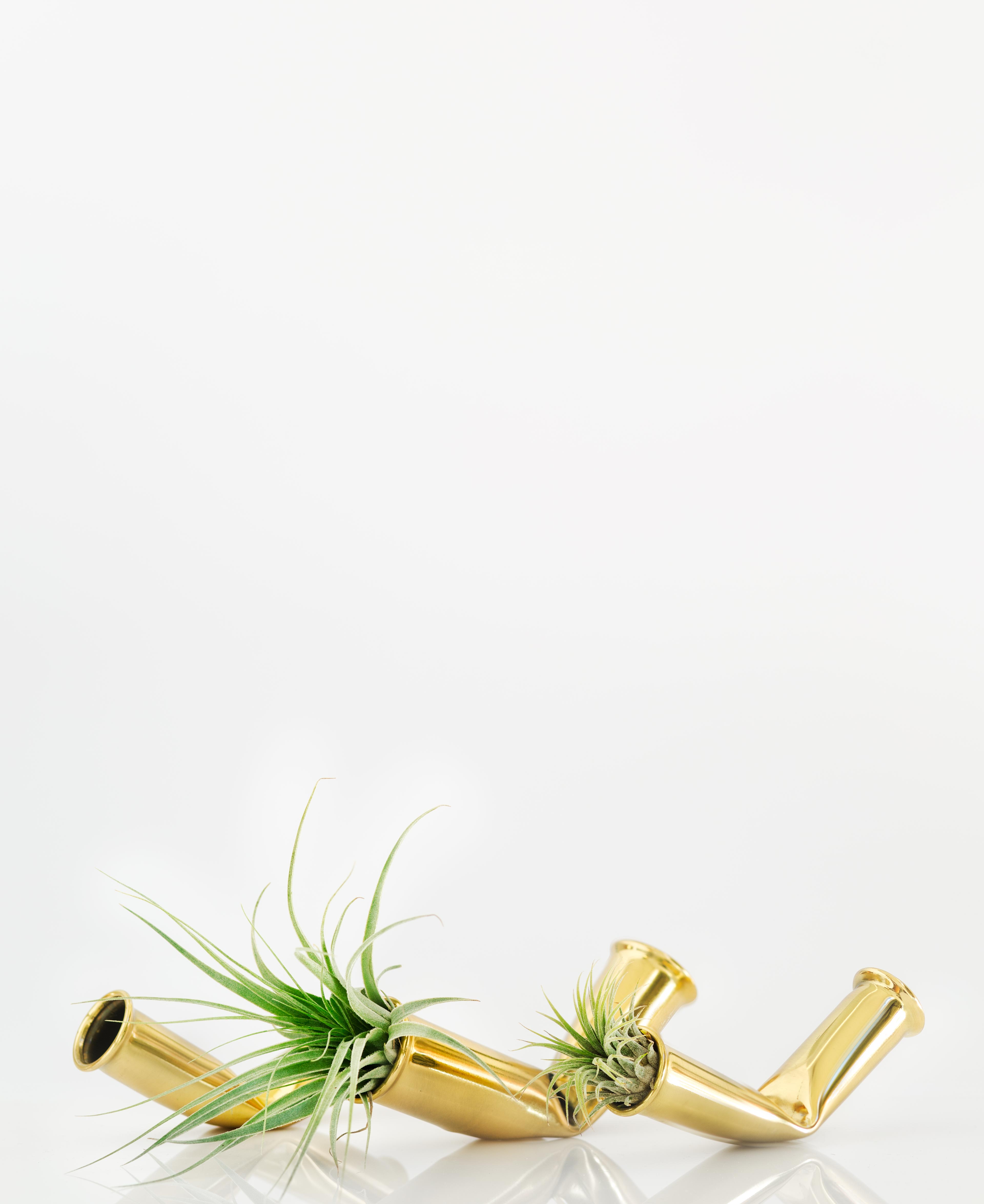 Entry 119832 in Squeezed Vase by AA Design Studio