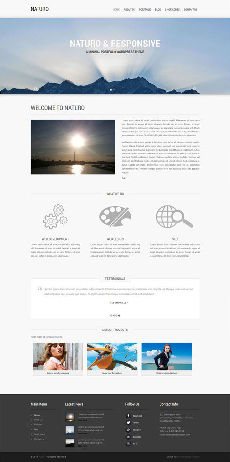 Entry 182671 in Clean Minimal WordPress Theme by SKT Themes
