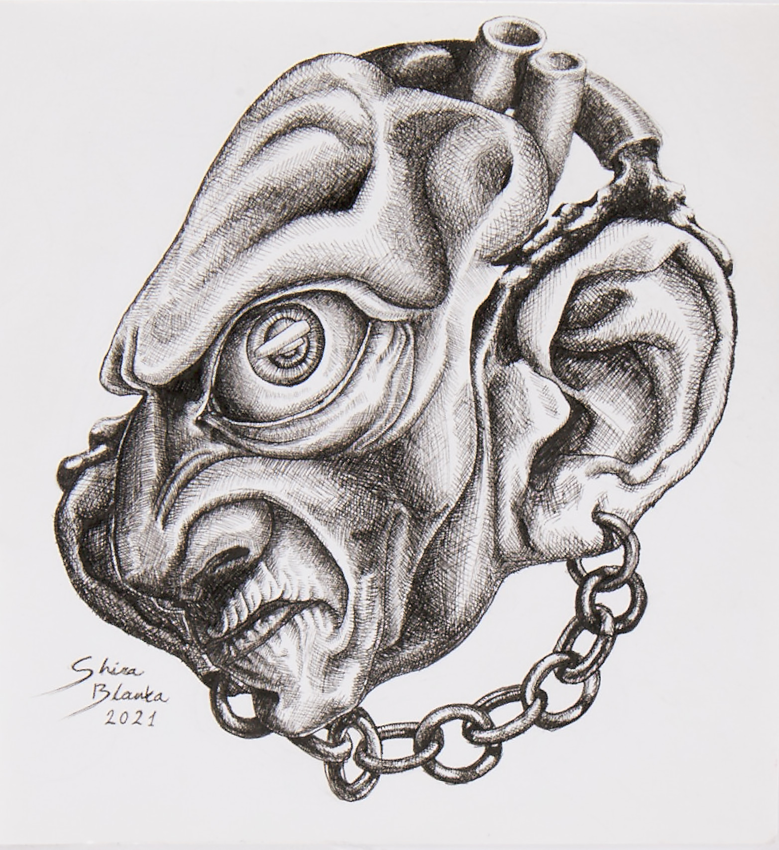 Entry 264976 in Portfolio by Shira Blanka