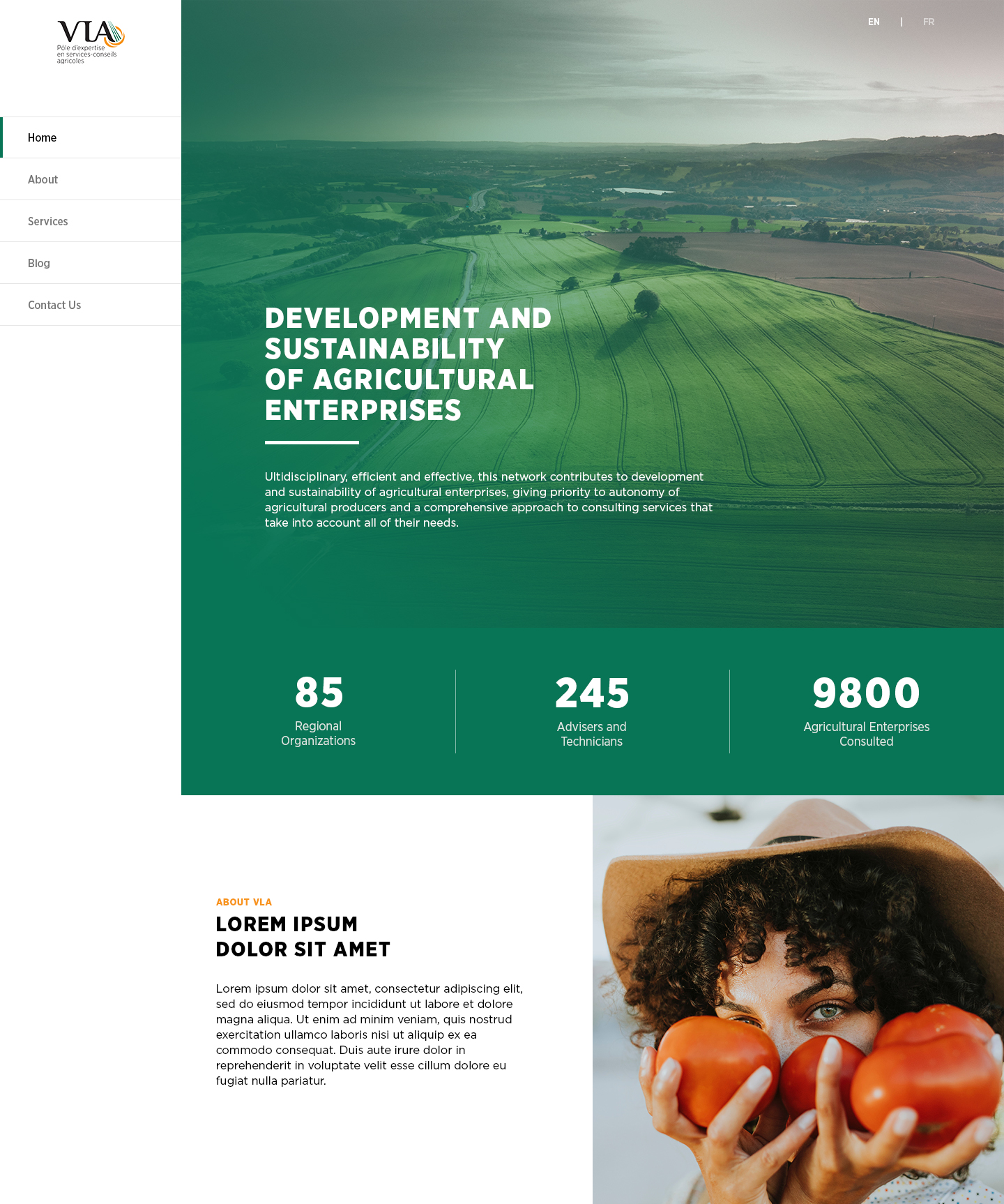 Entry 215278 in Portfolio by hipinspire