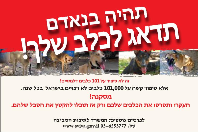 Entry 18314 in Portfolio by שירן - סטודיו לעיצוב גרפי
