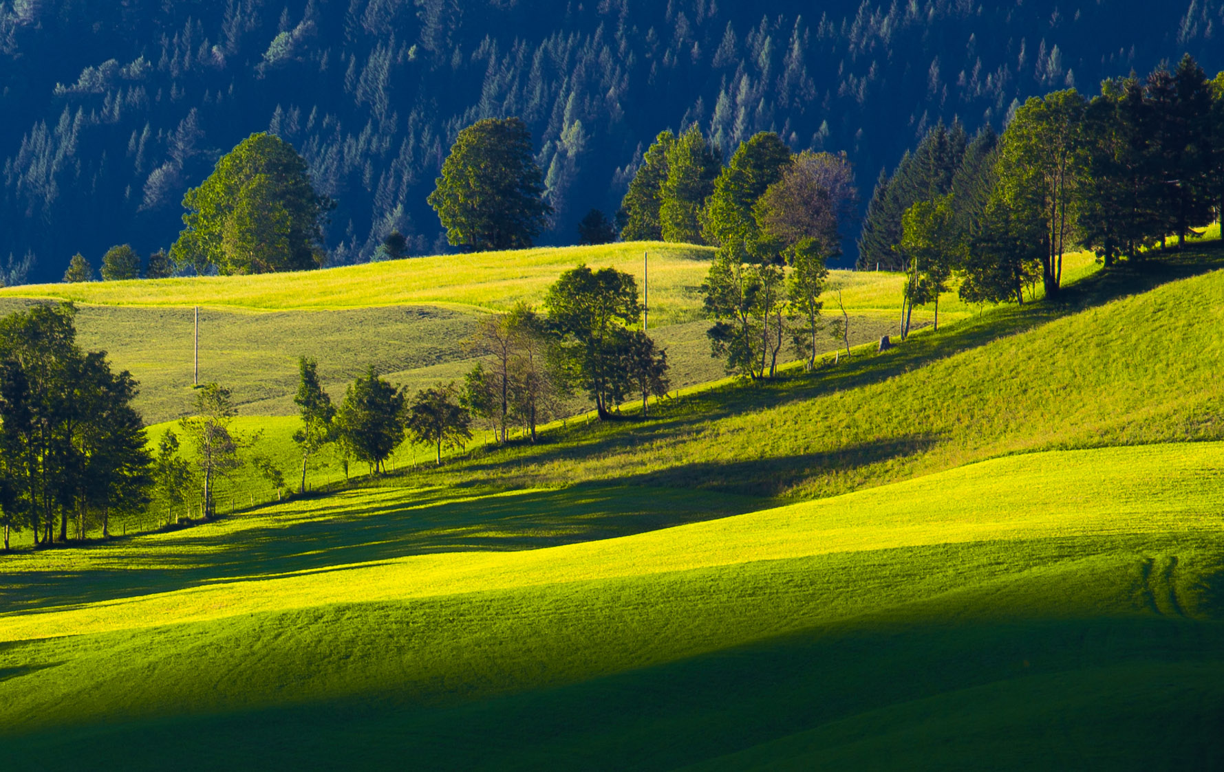 Entry 121127 in Landscapes by Ron Stollman Photography