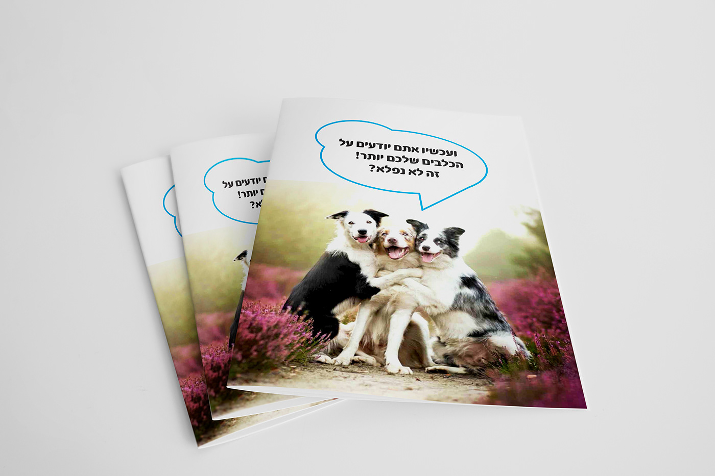 Entry 216959 in 15 Facts about Dogs by ענבר סיני עיצוב גרפי