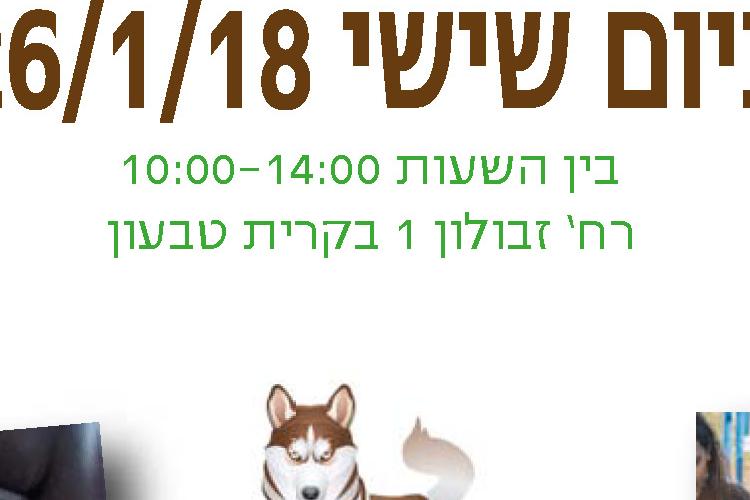 פוסטים thumbnail