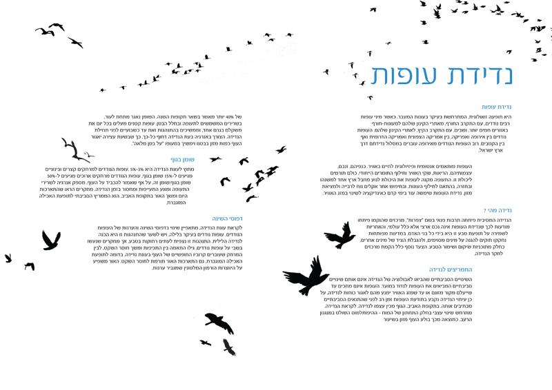 Entry 24493 in Portfolio by AYAT DESIGN