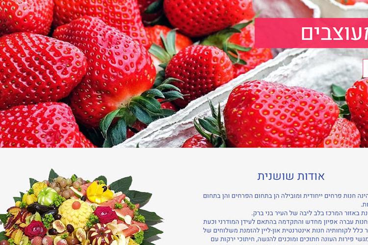 פרויקט - שושנית פירות/Project - fruits web design thumbnail