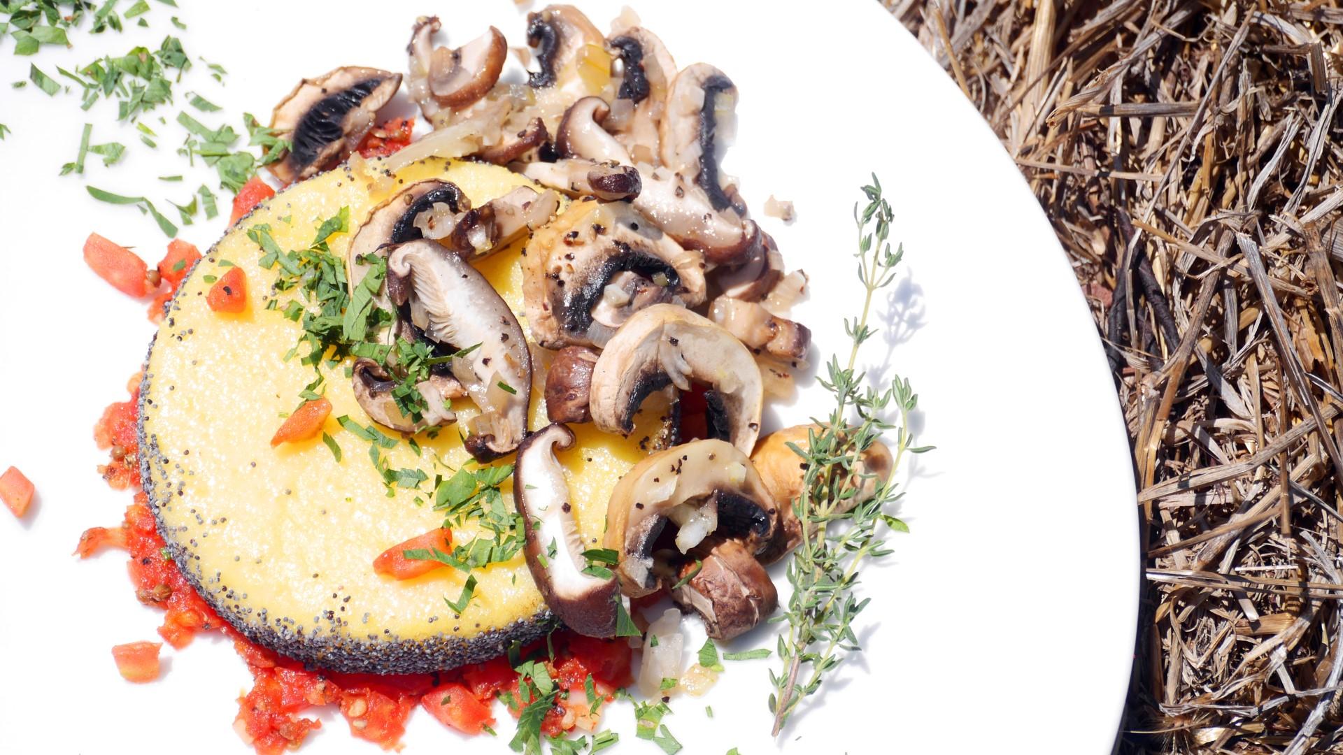 Entry 341724 in Portfolio by קיץ ברבנר - צילום עם סיפור