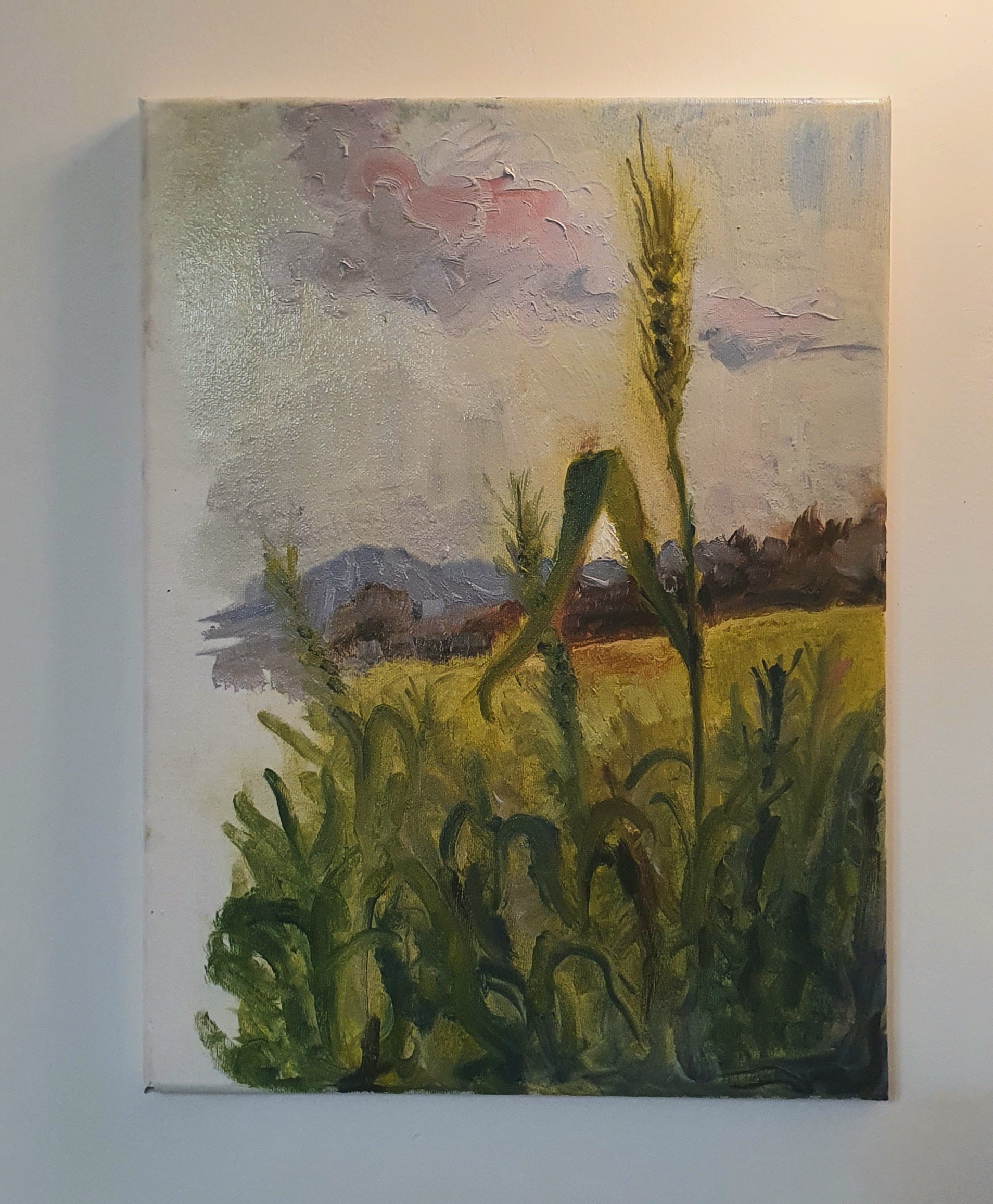 Entry 322454 in Portfolio by אוריאל פלד