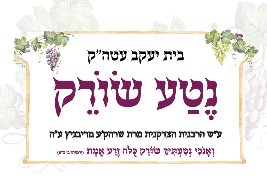 Entry 335275 in שלטים-רולאפים - תפריטים by חנה רוזנסטוק