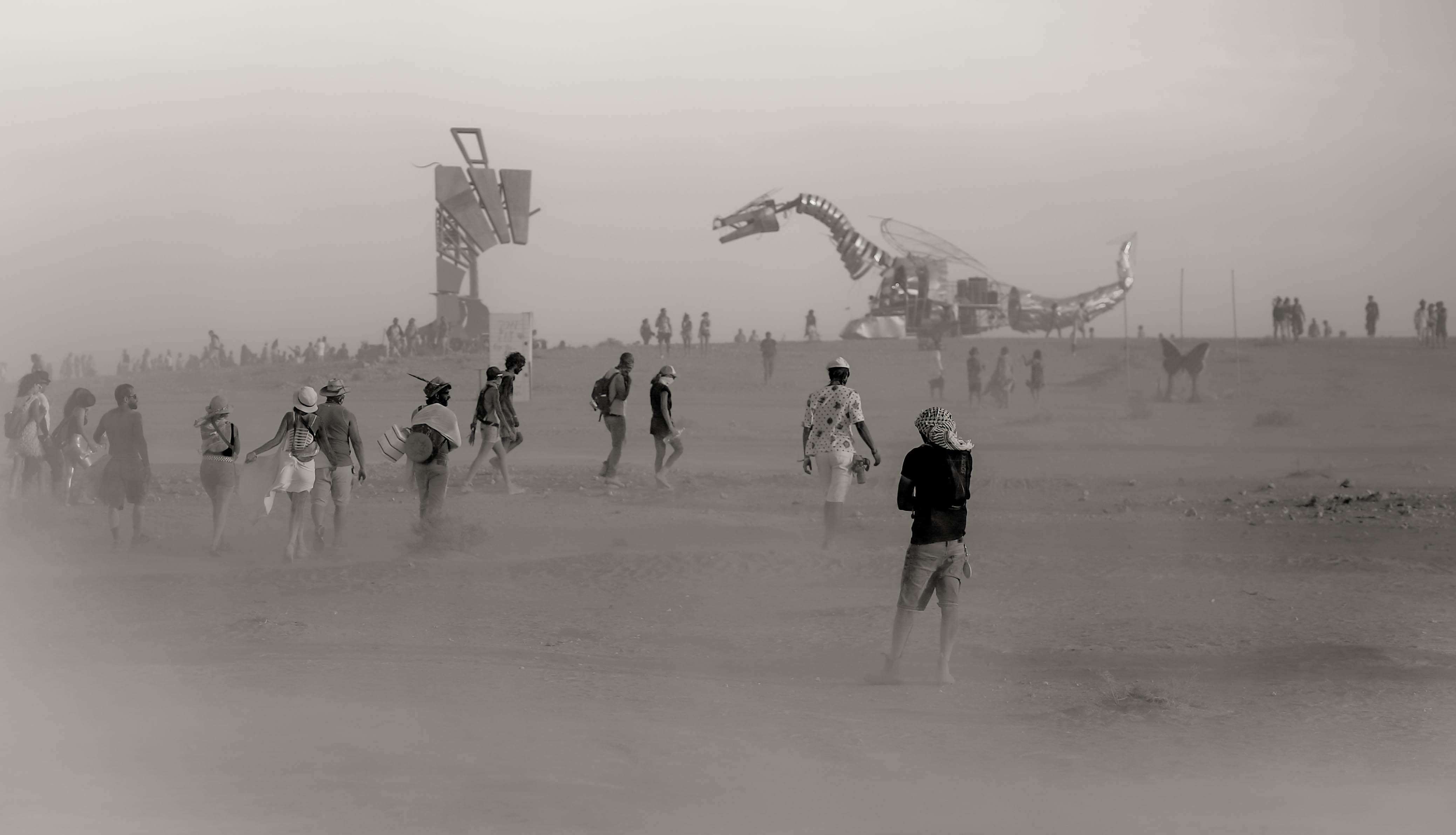Entry 318542 in Portfolio by Maya Barak