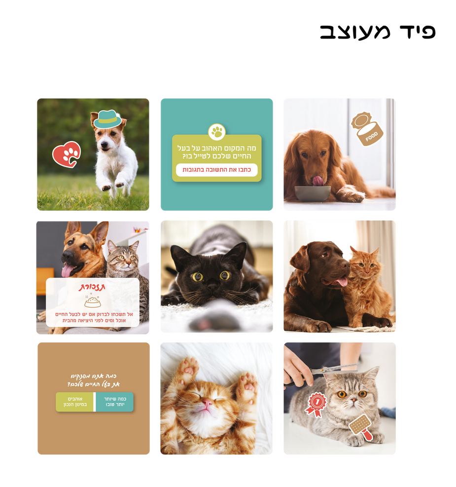 Entry 314707 in PETS ARE PAWSOME by רוני אמיתי עיצוב גרפי