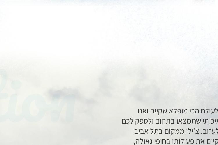 XPlace פרילנסרים | עבודה מהבית לפרילנסר ועבודות פרילנס לפרילנסרים