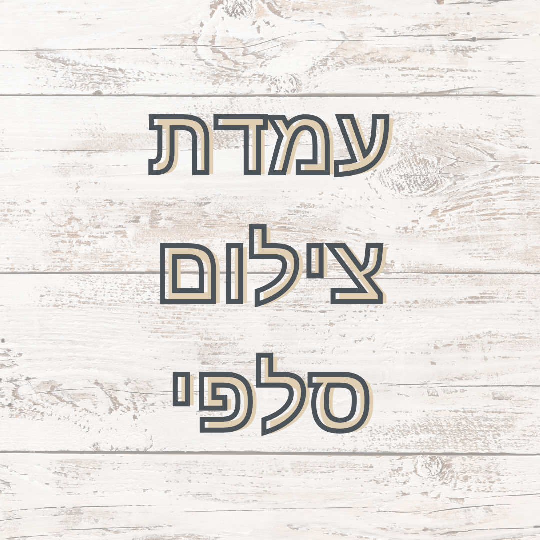 Entry 334541 in Portfolio by פוטו-שון