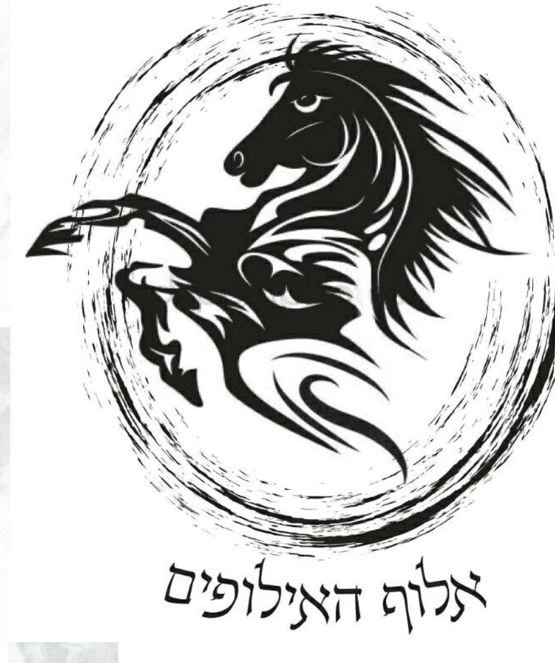 Entry 263136 in Portfolio by עיצוב גרפי